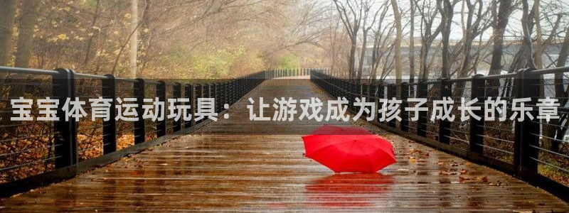 宝宝体育运动玩具：让游戏成为孩子成长的乐章